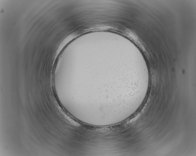 X0000067921186200605112000