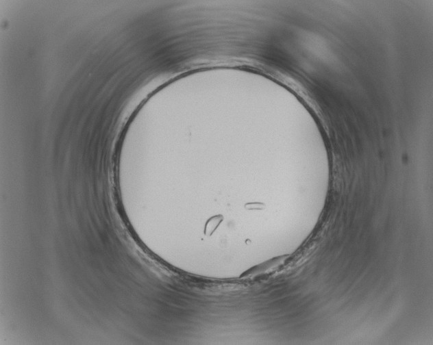 X0000067921187200605112000