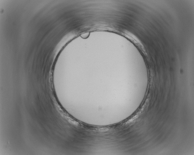 X0000067921190200605112000