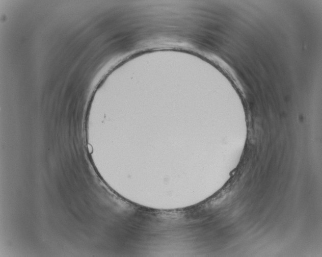 X0000067921191200605112000