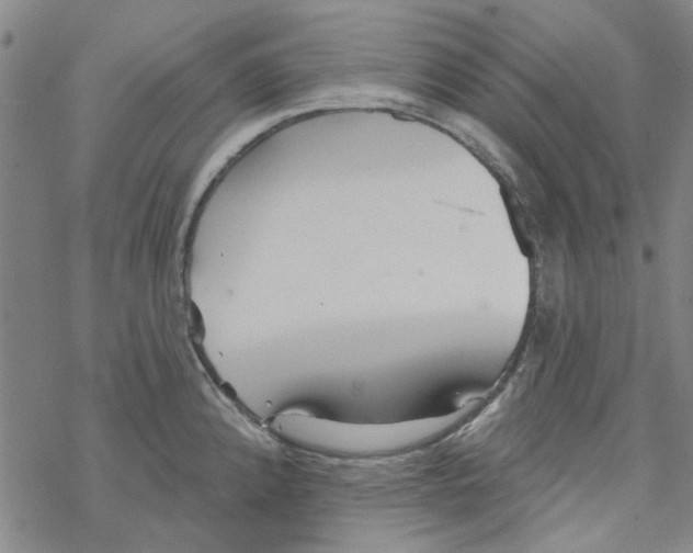 X0000067921192200605112000