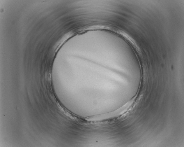 X0000067921193200605112000