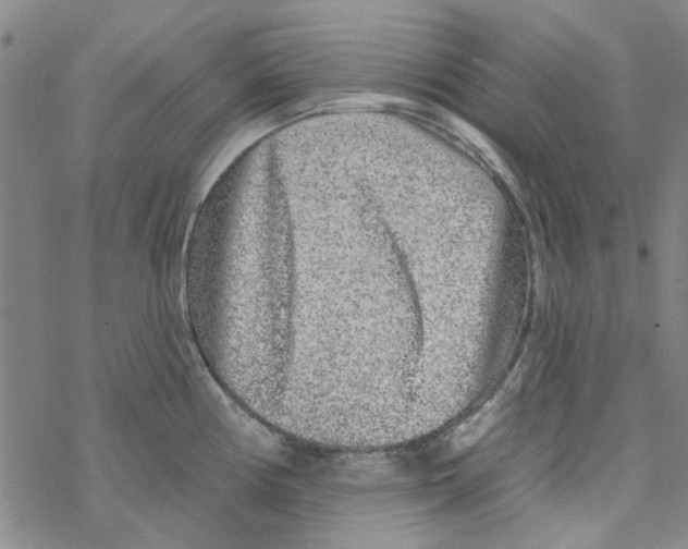 X0000067921194200605112000