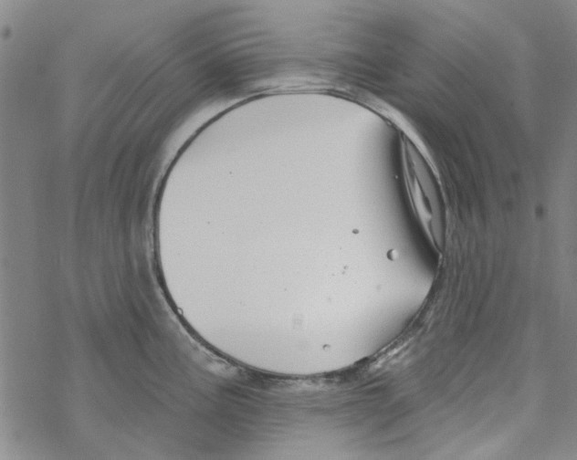 X0000067921195200605112000