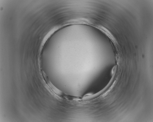 X0000067921196200605112000