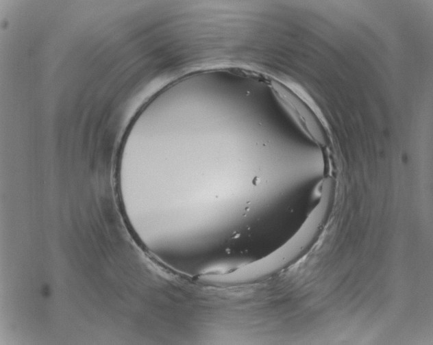 X0000067921197200605112000