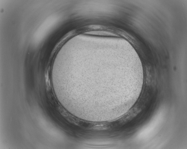 X0000067921198200605112000