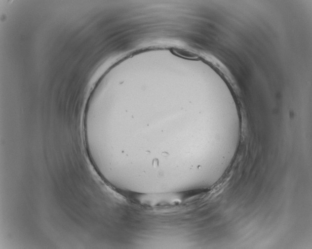 X0000067921199200605112000