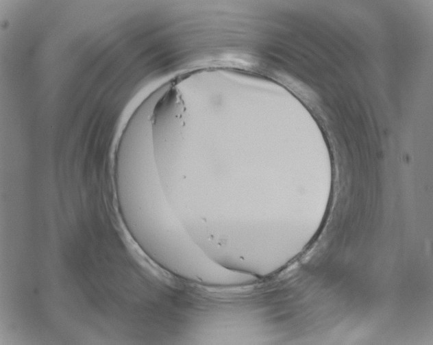 X0000067921200200605112000