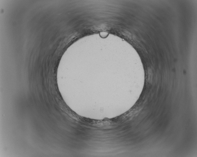 X0000067921201200605111959