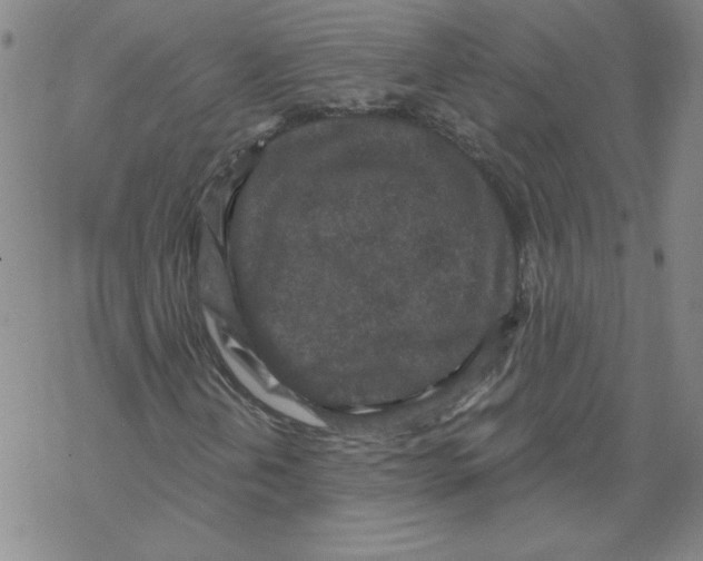 X0000067921202200605111959