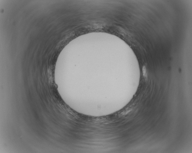 X0000067921203200605111959