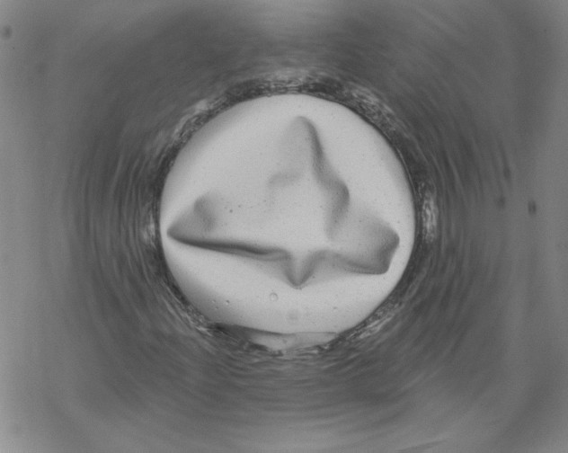 X0000067921204200605111959