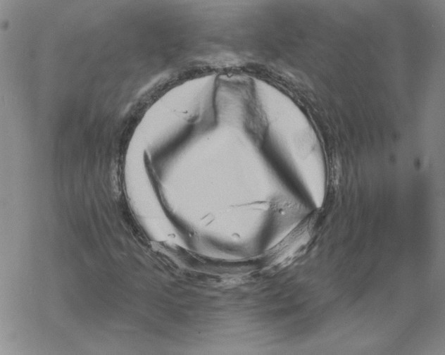 X0000067921205200605111959