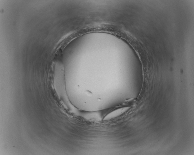 X0000067921206200605111959