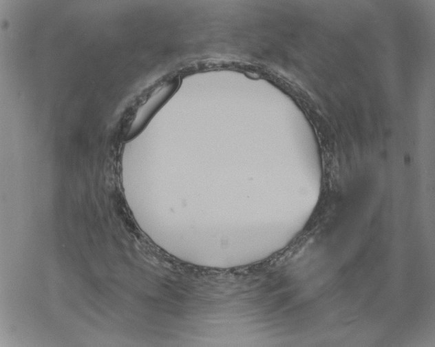 X0000067921207200605111959