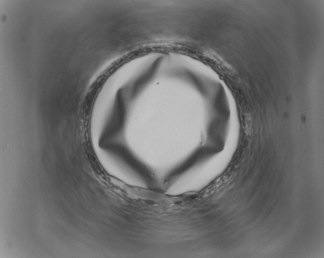 X0000067921208200605111959