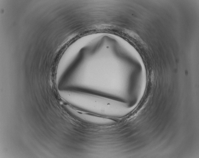 X0000067921209200605111959