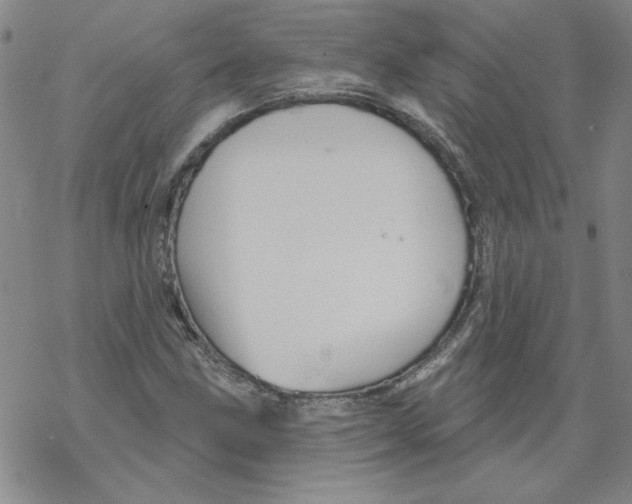 X0000067921211200605112000