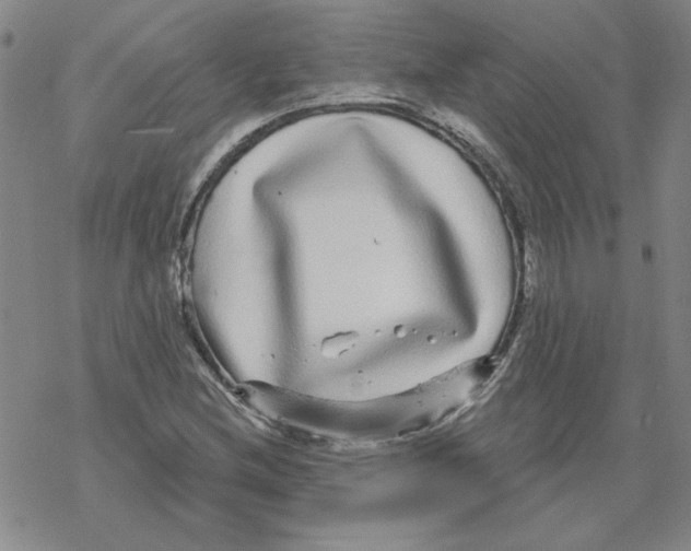 X0000067921212200605112000