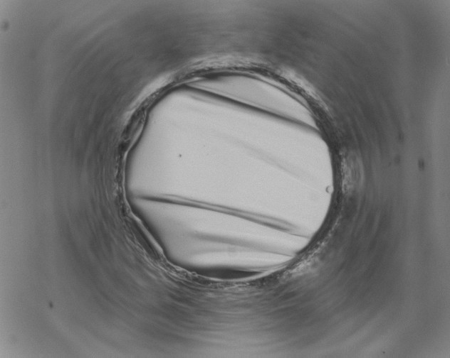 X0000067921213200605112000