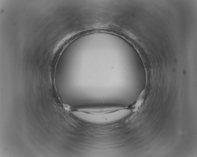 X0000067921214200605112000