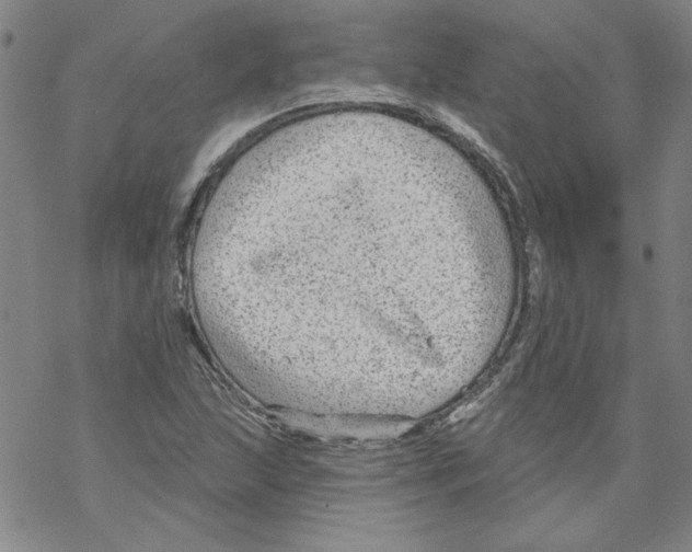 X0000067921215200605112000