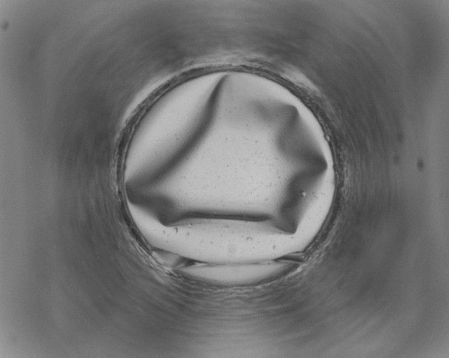 X0000067921216200605112000