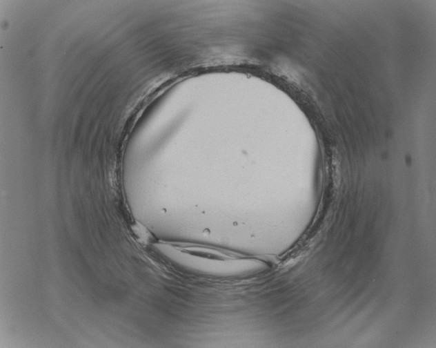 X0000067921217200605112000