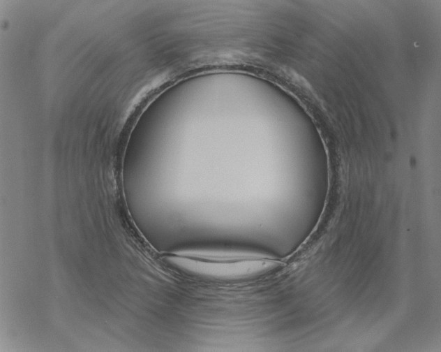 X0000067921218200605112000