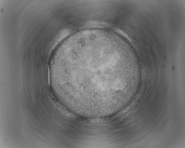 X0000067921219200605112000