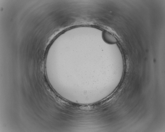 X0000067921220200605112000