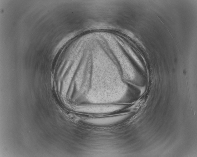 X0000067921221200605112000