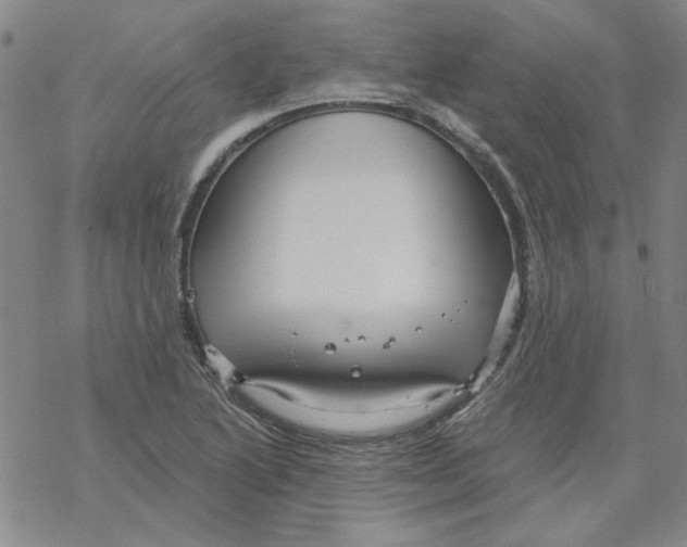 X0000067921222200605112000