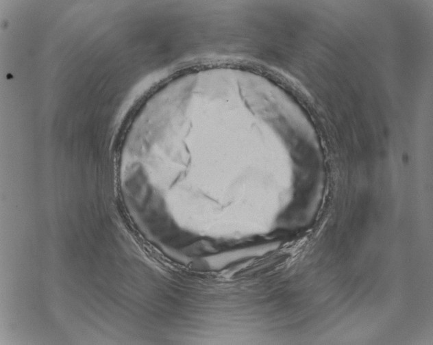 X0000067921223200605112000