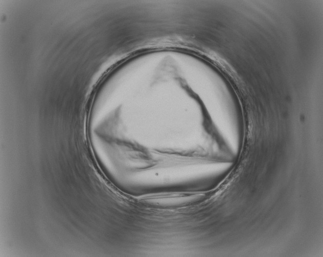 X0000067921224200605112000