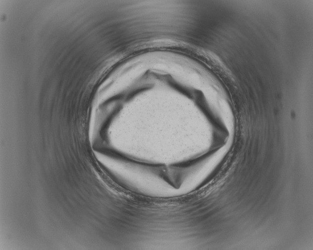 X0000067921225200605112000