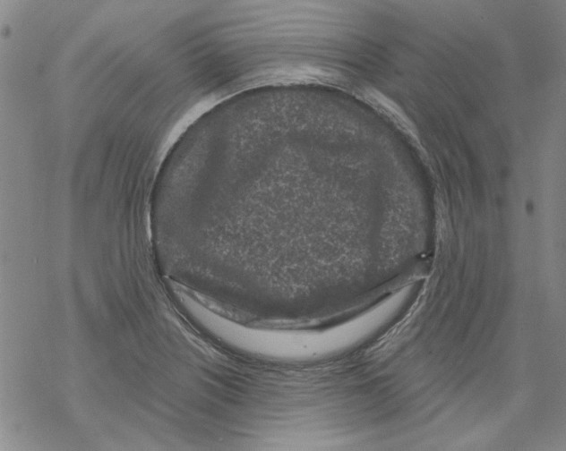 X0000067921226200605112000