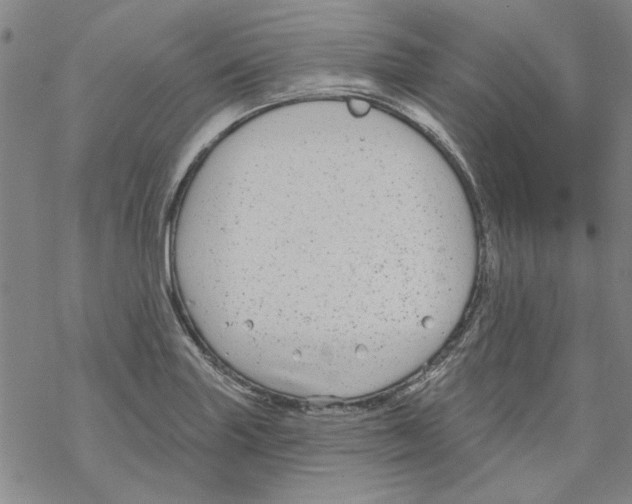 X0000067921227200605112000