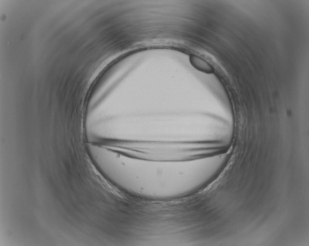 X0000067921228200605112000