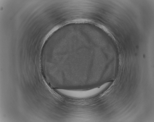 X0000067921229200605112000