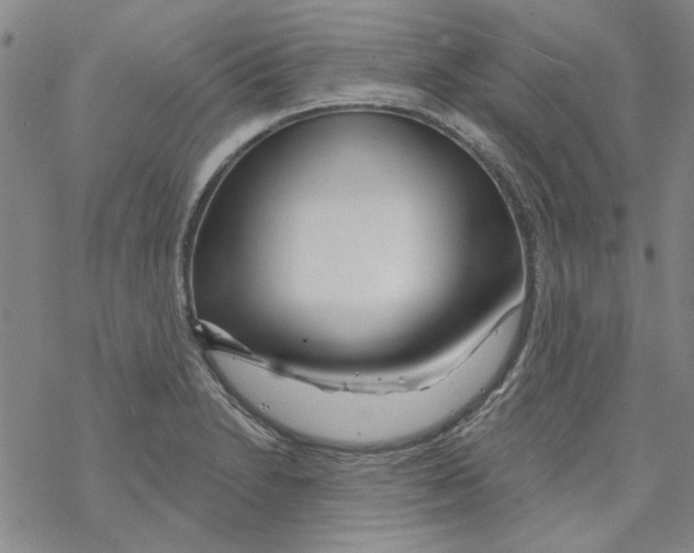 X0000067921230200605112000