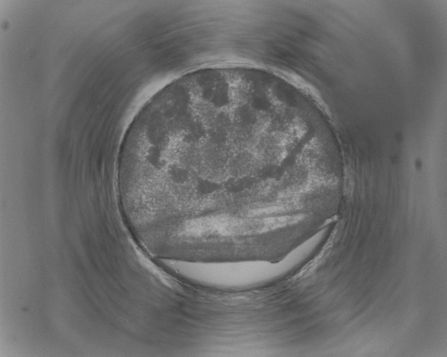 X0000067921231200605112000