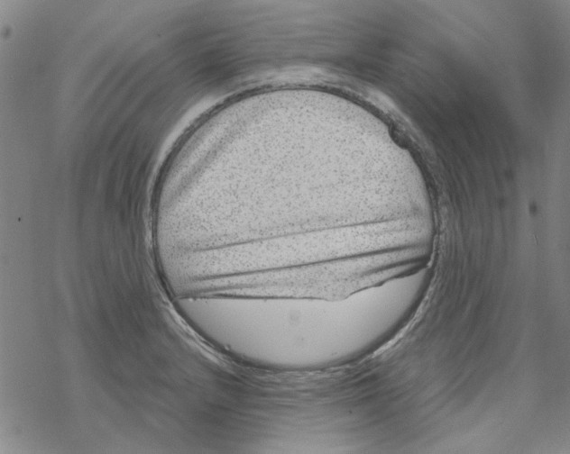 X0000067921232200605112000