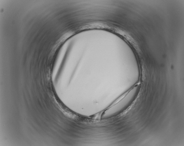 X0000067921233200605112000