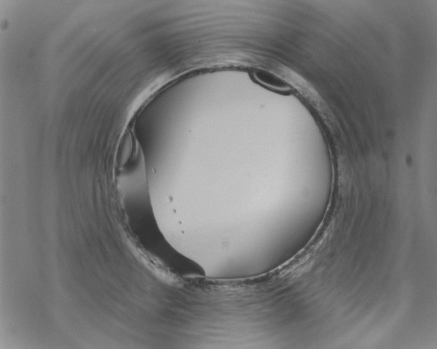 X0000067921234200605112000