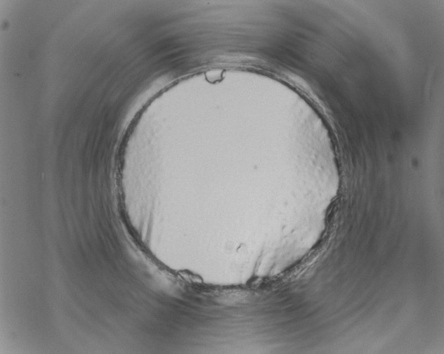 X0000067921235200605112000