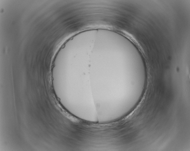 X0000067921236200605112000