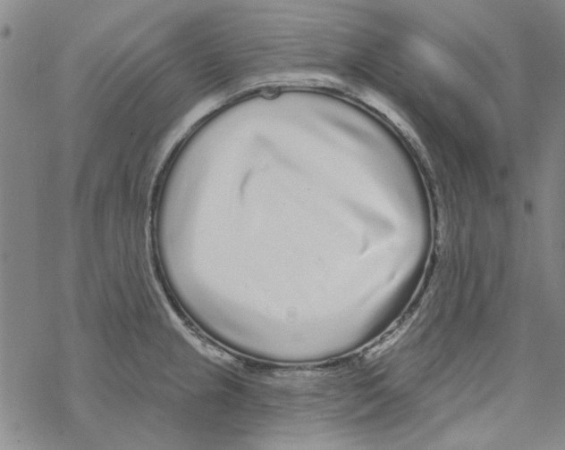 X0000067921237200605112000