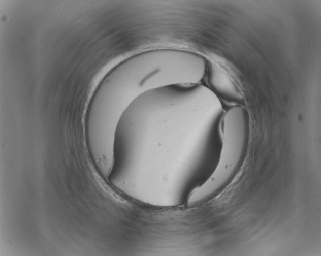 X0000067921238200605112000